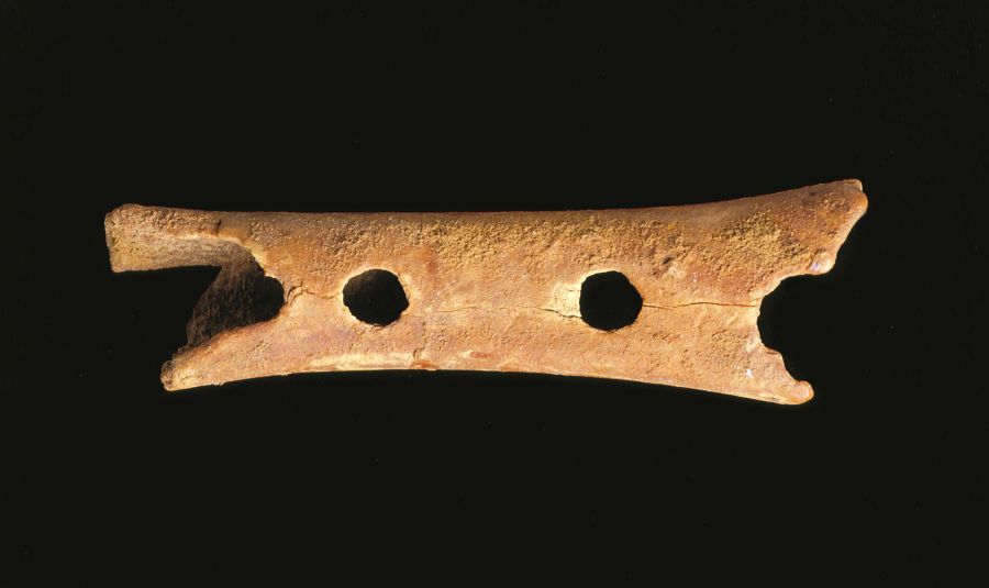 The First Musical Instrument - Over 60,000 Years Old! – Ashthorpe.com